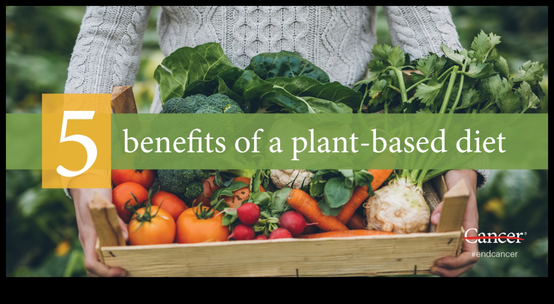 היתרונות של תזונה צמחית 5 פלאי הטבע: גילוי העושר של חיים מבוססי צמחים