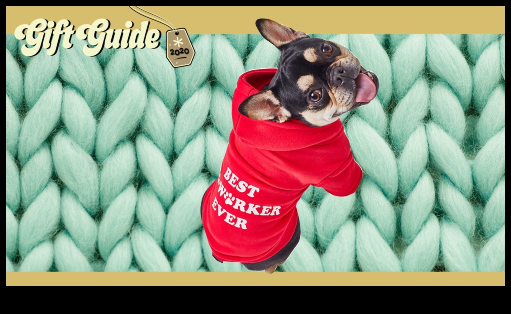 הטבות לחיות מחמד: מתנות לחברים פרוותיים ולחבריהם