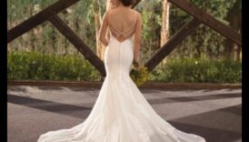 המליץ בגדי כלה קלאסיים של Radiance לכלה המודרנית 1 זוהר קלאסי: אושר לבוש כלה