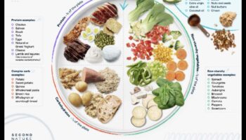 כיצד דיאטה דלת פחמימות משפיעה על הירידה במשקל?