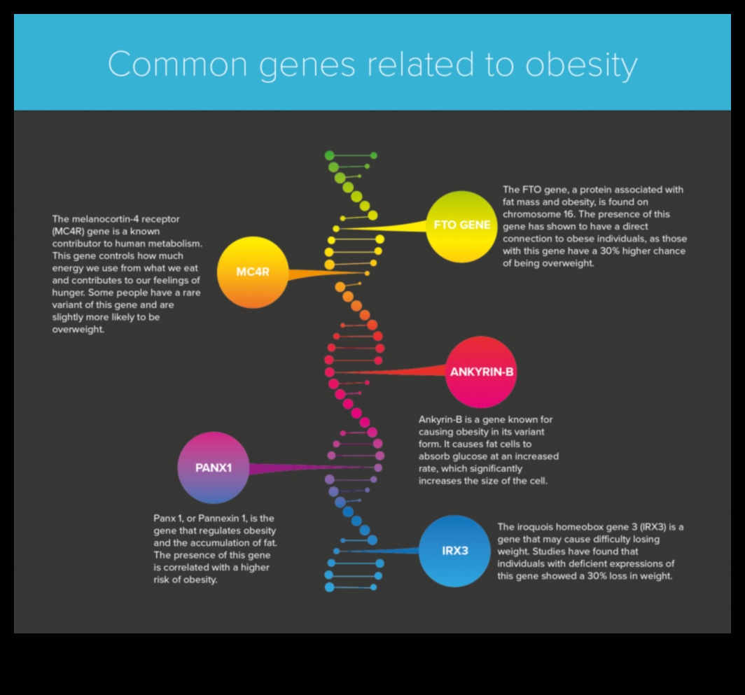 הגנטיקה של ירידה במשקל 1 השפעת הגנטיקה על דיאטת ההרזיה שלך
