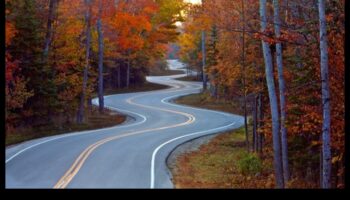 דיאטות ארוכות טווח ושמירה על משקל לאחר דיאטה: אסטרטגיות להצלחה