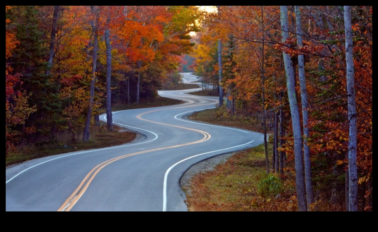 הדרך הארוכה והמפותלת לירידה במשקל 2 דיאטות ארוכות טווח ושמירה על משקל לאחר דיאטה: אסטרטגיות להצלחה