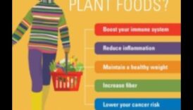 כמה יתרונות נהדרים של ויטמין צמחית 2 פלאי הטבע: גילוי העושר של חיים מבוססי צמחים