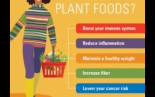 פלאי הטבע: גילוי העושר של חיים מבוססי צמחים