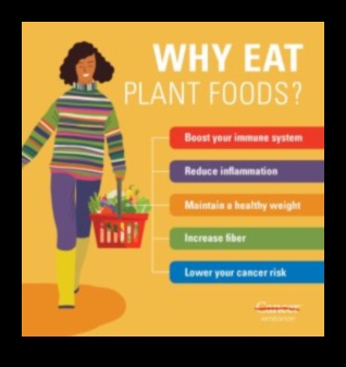 היתרונות של תזונה צמחית 1 פלאי הטבע: גילוי העושר של חיים מבוססי צמחים