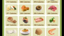 השומנים הבריאים הטובים ביותר לעלייה במשקל 1 שילוב שומנים בריאים לעלייה במשקל: מדריך מקיף