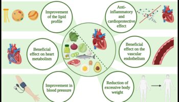 פרופילי קטו ושומנים בדם: תצוגה מקיפה