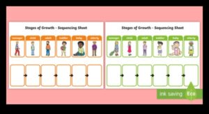 התקדמות שובבה: ביטול שכבות התפתחות התינוק