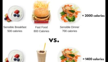 שמירה על חלבון ומשקל: אסטרטגיות להצלחה ארוכת טווח