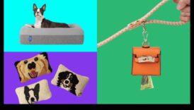 פריטים חיות מחמד לחברים פרוותיים ולחבריהם 5 הטבות לחיות מחמד: מתנות לחברים פרוותיים ולחבריהם