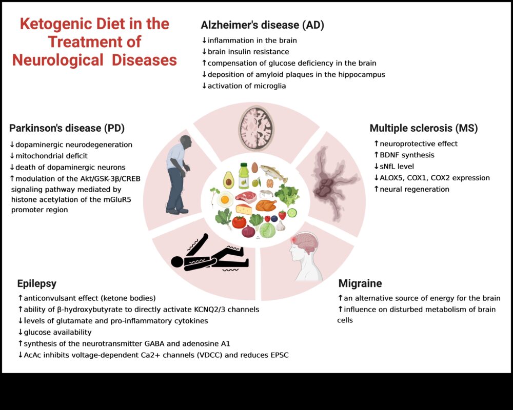 תפקידם של קטונים בניהול מצבים אוטואימוניים
