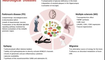 תפקידם של קטונים בניהול מצבים אוטואימוניים
