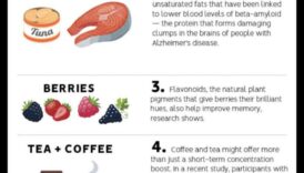 תאכל בשביל המוח האישי שלך 6 דיאטות אורח חיים וחוסן קוגניטיבי: גישה הוליסטית
