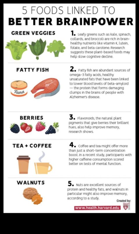 דיאטות אורח חיים וחוסן קוגניטיבי: גישה הוליסטית