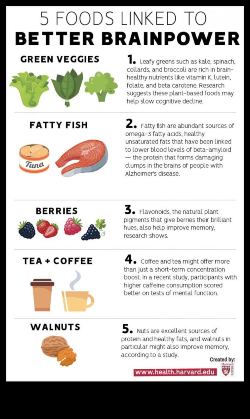 לאכול בשביל המוח שלך 1 דיאטות אורח חיים וחוסן קוגניטיבי: גישה הוליסטית